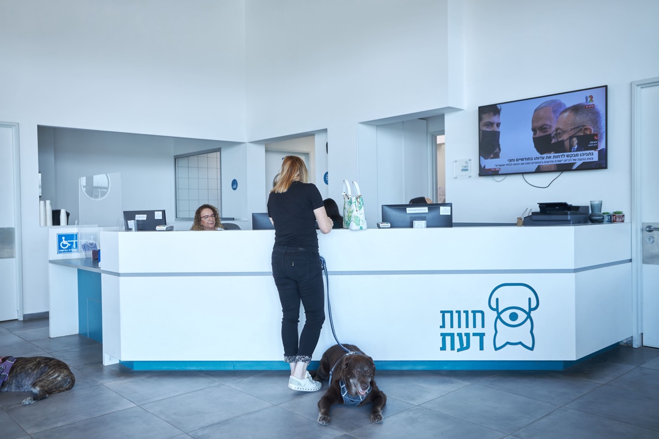 חוות דעת רחובות